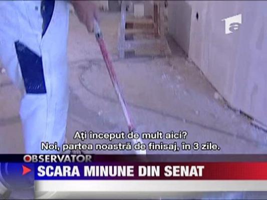 Scara minune din Senat