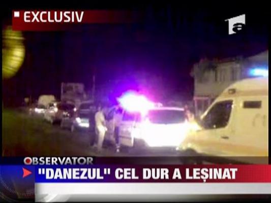 "Danezul" cel dur a lesinat
