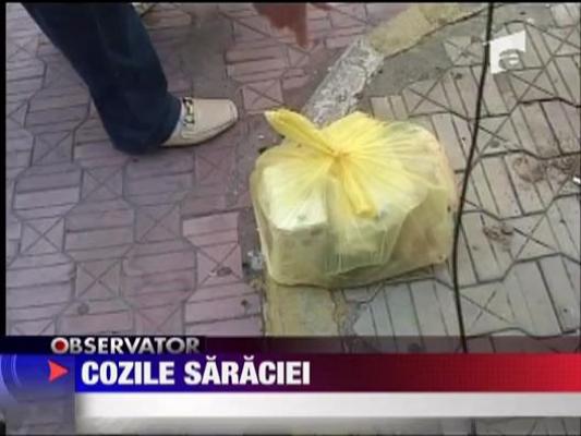 Cozile saraciei la Constanta