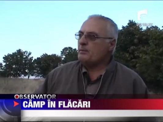 Camp in flacari
