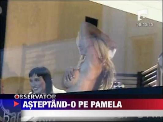 Pregatirile pentru petrecerea gazduita de Pamela Anderson