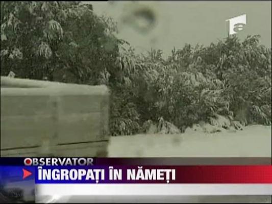 Australia ingropata in nameti