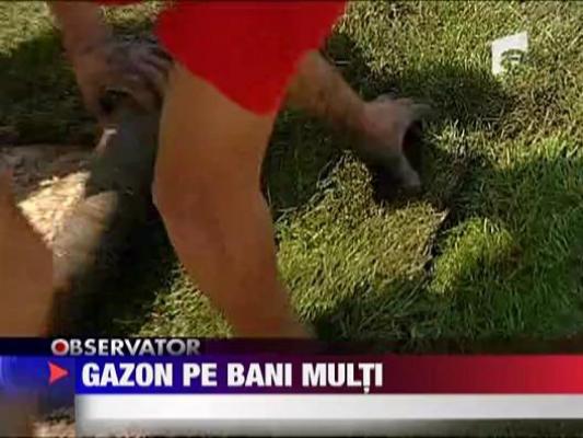 Gazon pe bani multi! Bucurestiul oflilit