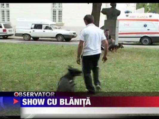 Show cu blanita la Alba Iulia