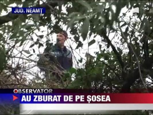 Au zburat de pe sosea