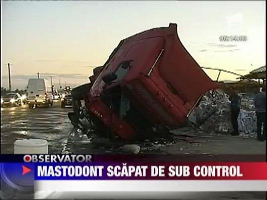 Mastodont scapat de sub control