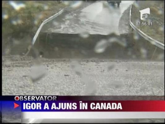 Uraganul Igor a ajuns in Canada
