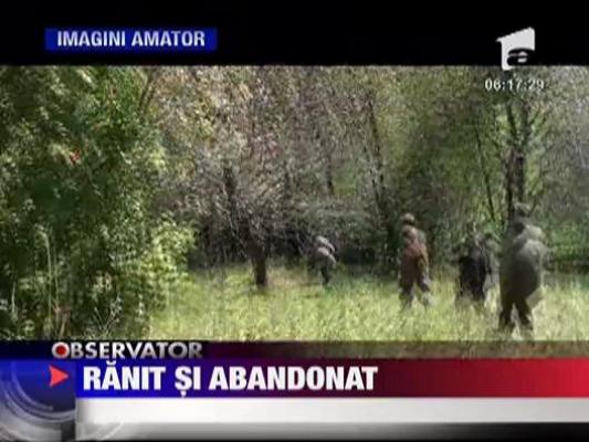 Urs ranit si abandonat