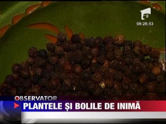 Plantele si bolile de inima