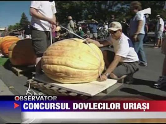 Concursul dovlecilor uriasi