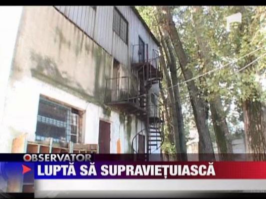 Lupta sa supravietuiasca