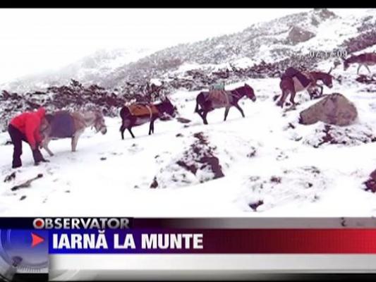 Iarna la munte