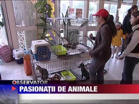 Pasionatii de animale