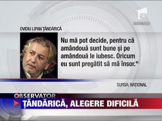 Tandarica, alegere dificila