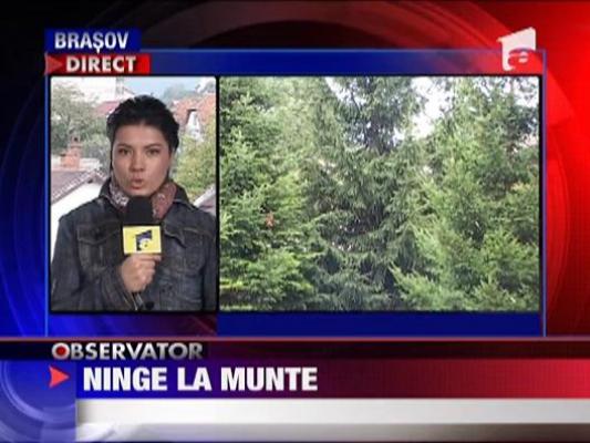 Ninge la munte