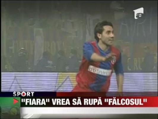 "Fiara" vrea sa rupa "Falcosul"