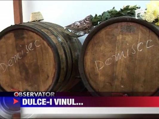 Iurie Darie si Anca Pandrea afacere cu vin