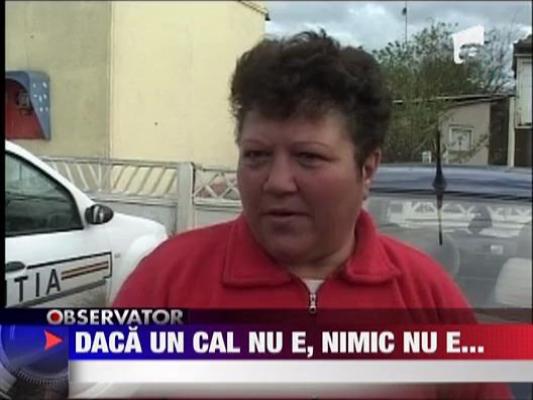 Iubire fara limite