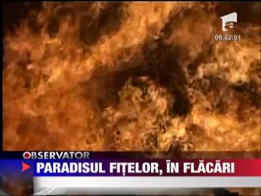 Terasa Cafe del Mar din Mamaia s-a facut scrum