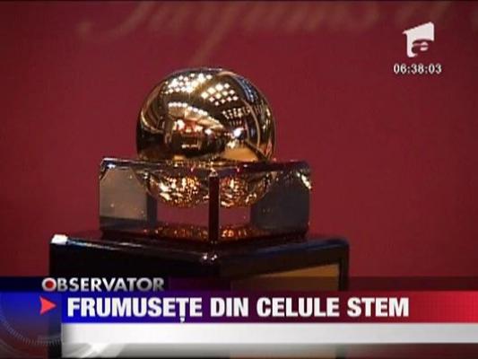 Felicia: Frumusete din Celule Stem