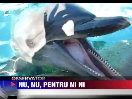 Nu, nu, pentru Ni Ni