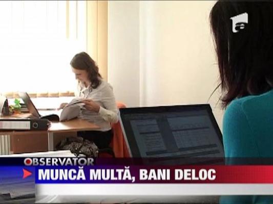 Munca multa, bani deloc