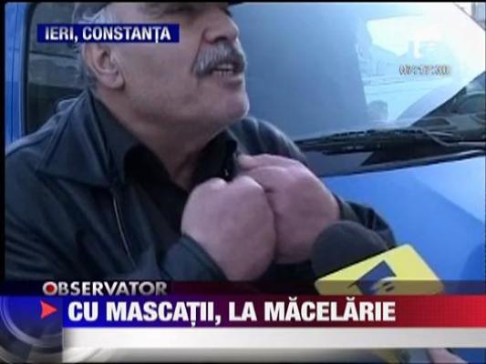 Cu mascatii la un control la o macelarie