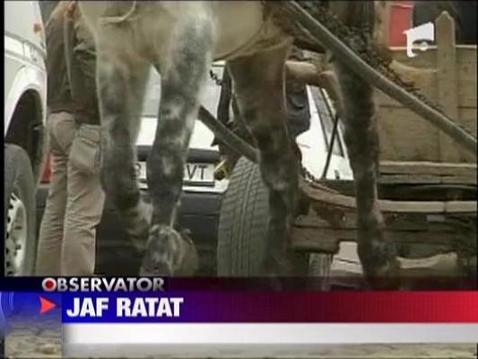 Jaf ratat