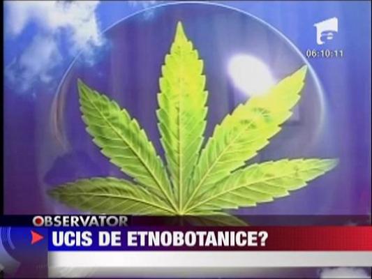 Nepot de senator ucis de etnobotanice