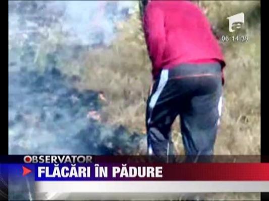 Padure cuprinsa de flacari langa localitatea Cheia