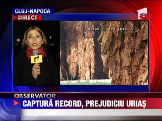 Captura record de tutun! Prejudiciu urias