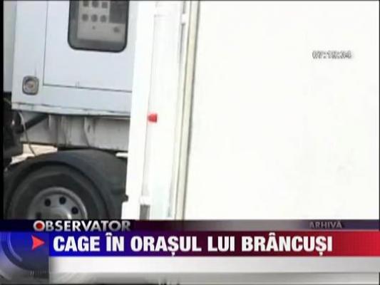 Nicolas Cage a ocupat orasul lui Brancusi