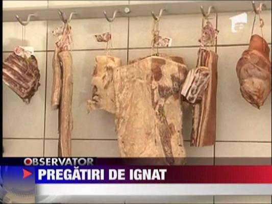 Pregatiri de Ignat