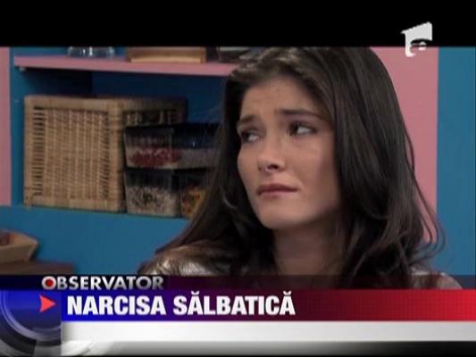 O noua saptamana cu Narcisa salbatica