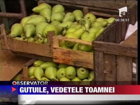 Felicia: Gutuile, vedetele toamnei