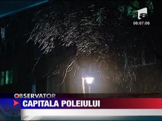 Capitala poleiului