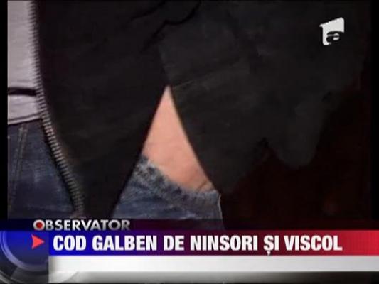 Cod galben de ninsori si viscol