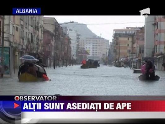 Asediati de ape