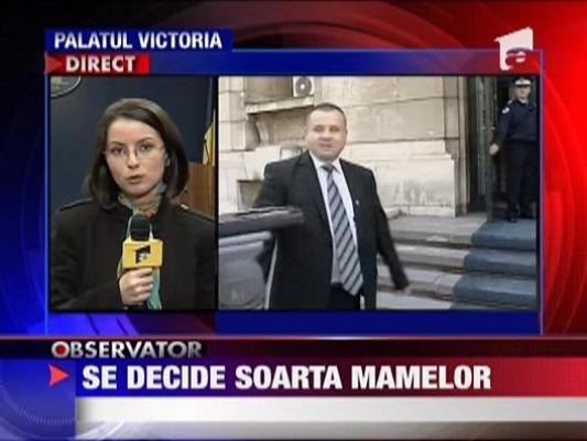 Guvernul decide forma finala a concediului de maternitate