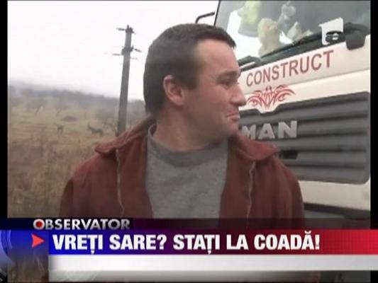 Firmele de deszapezire, la coada la sare