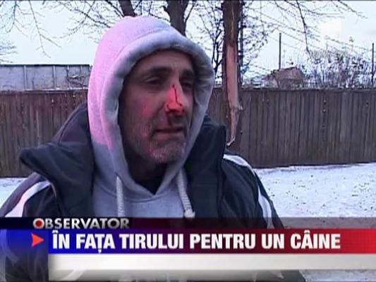 In pericol sa ramana fara un picior pentru un caine