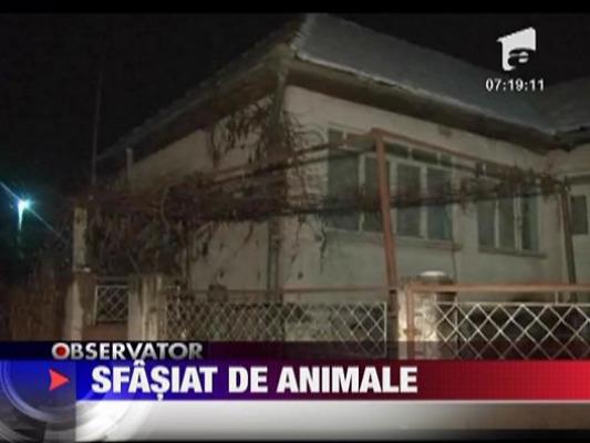 Sfasiat de animale