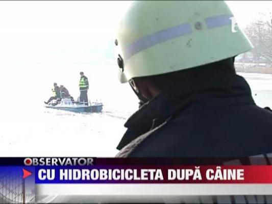 Din salvator, s-a transformat in victima!