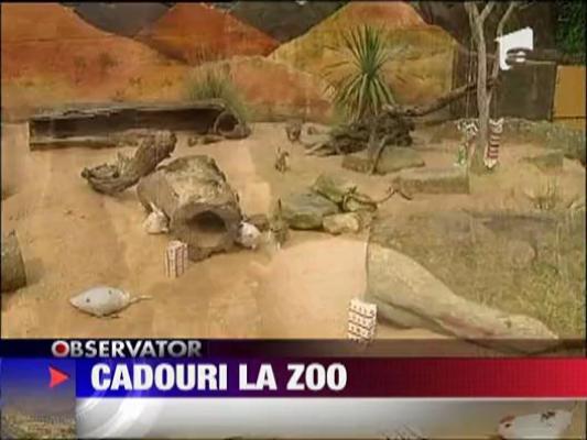 Cadouri la gradina zoologica