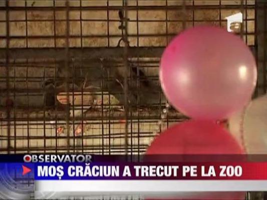 Mos Craciun a trecut pe la Zoo