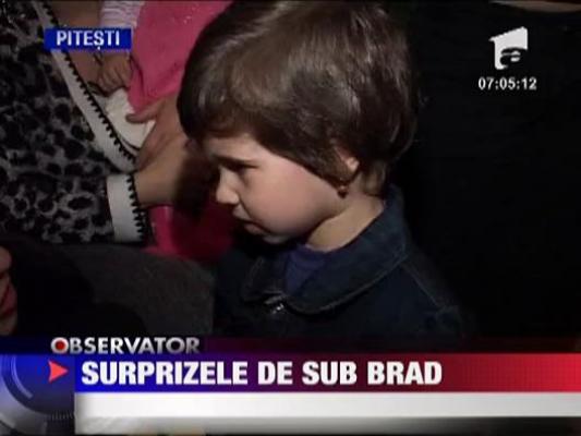 Surprizele de sub brad