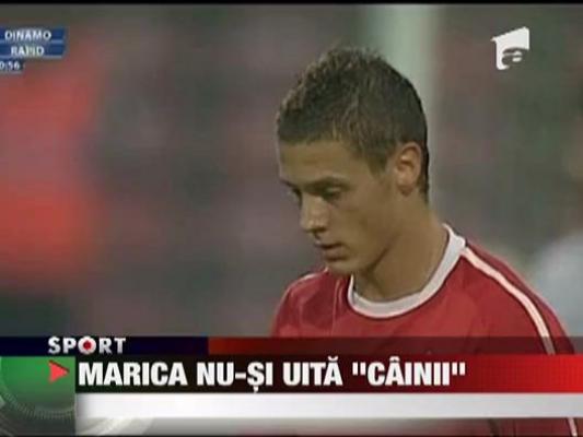 Marica nu-si uita "cainii"