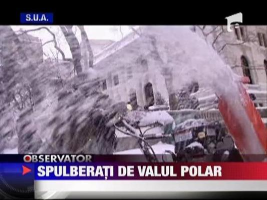 Spulberati de valul polar