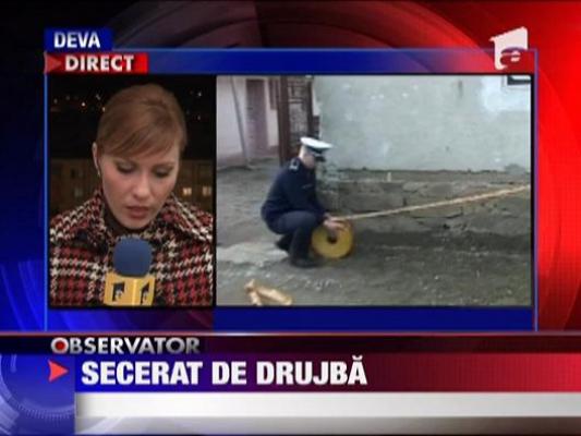 Decapitat de drujba