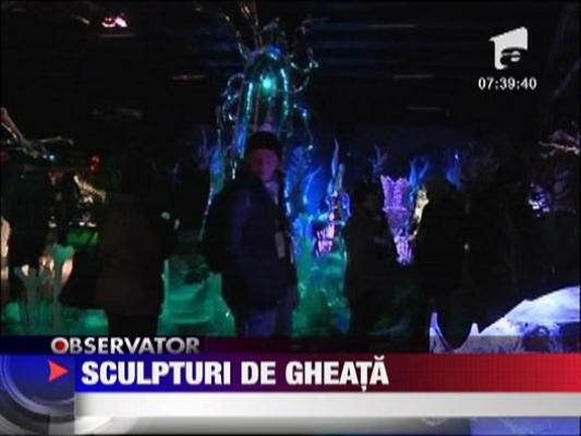 Sculpturi inedite de gheata